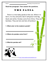 The Panda Preview