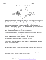 Using Experiences and Sources To Answer Questions Worksheets