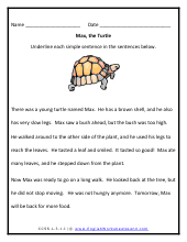 Max the Turtle Preview