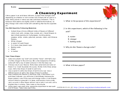 A Chemistry Experiment Preview