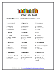 High School Vocabulary Words Worksheets