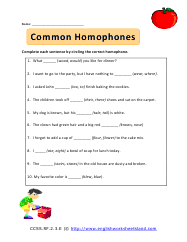 Common Homophones Preview