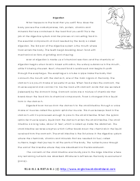 Nutrition Reading Comprehension Worksheets | Besto Blog